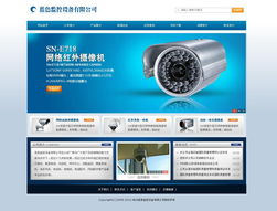 專業(yè)、高效、經(jīng)濟(jì) 企業(yè)網(wǎng)站的快速搭建方案